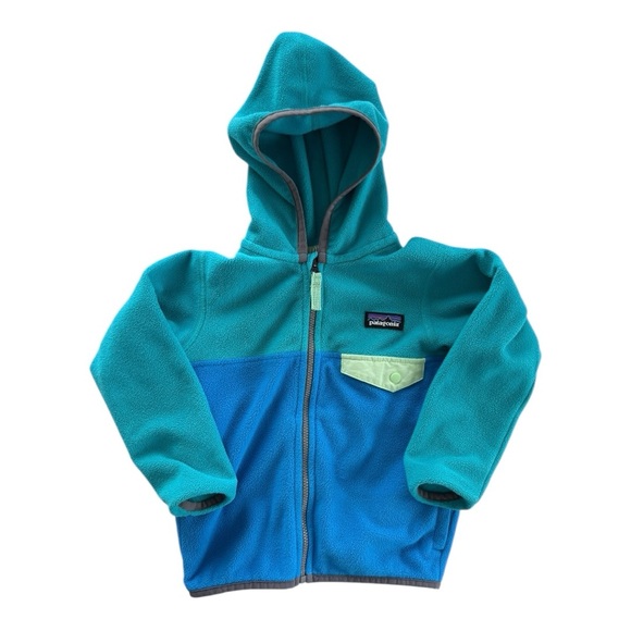 Patagonia Other - Toddler Patagonia Micro D Snap-T Blue Fleece Jacket